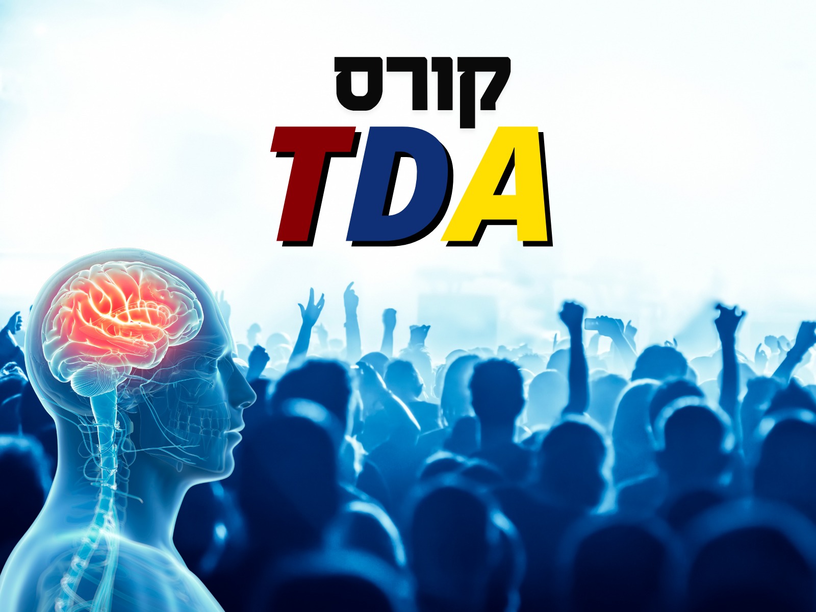 tda מחזור י